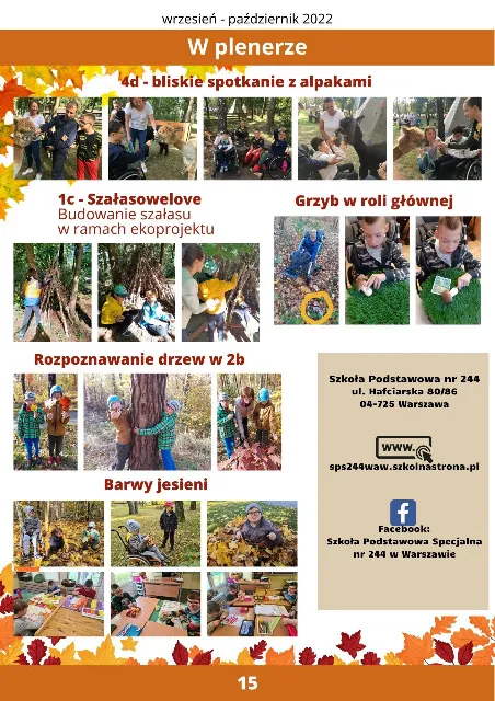 Grafika informacyjna