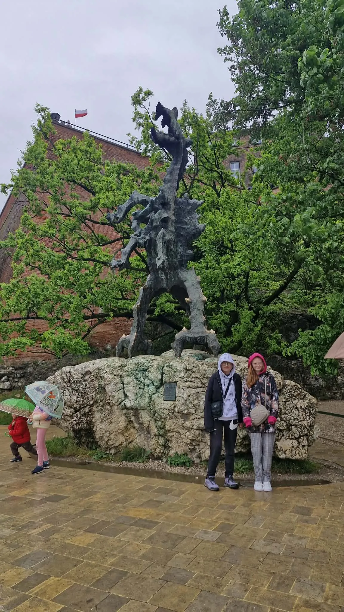 filmon5